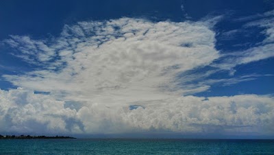 Photos of Junta Municipal de la Caleta