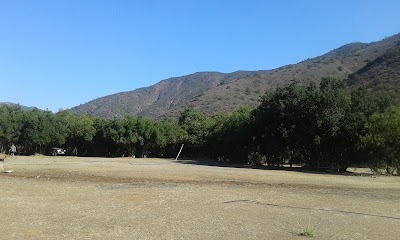 Photos of Vivero Limache