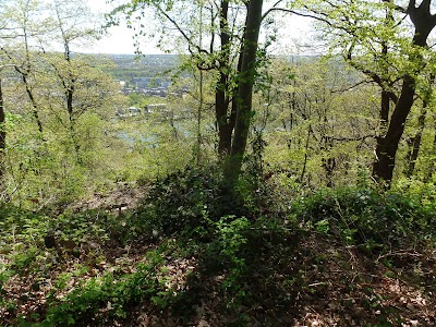 Photos of Cercle de Wallonie