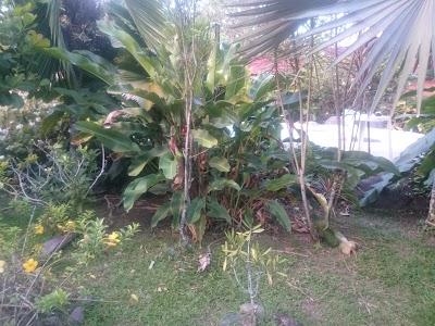 Photos of Aiyana Lodge