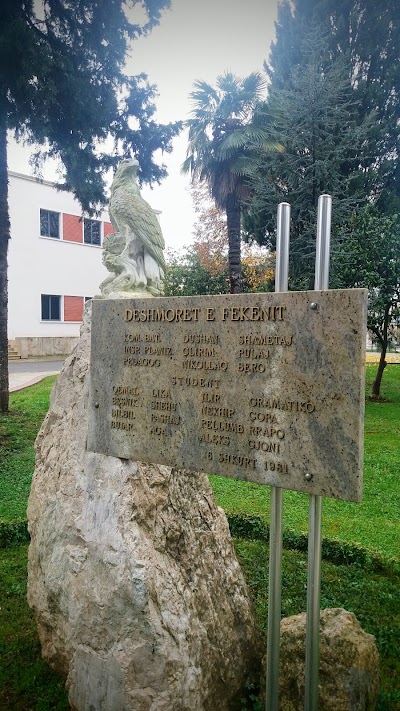 Photos of Military Academy "Scanderbeg"