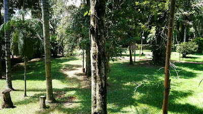 Photos of Orqu&iacute;deas Palace