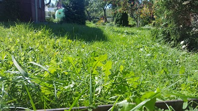 Photos of Krindzēnu residence