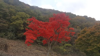 Photos of 내장야영장