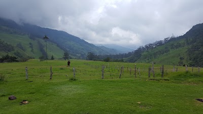 Photos of Eco Hotel Las Palmas Del Cocora