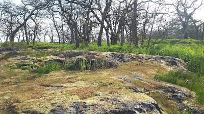 Photos of Summit Park