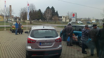 car-dealer