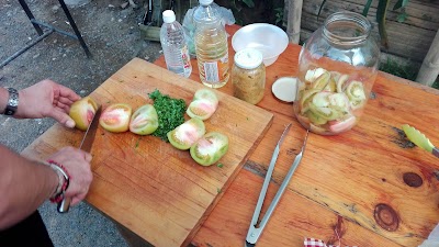 Photos of QUICKBITES