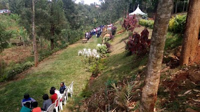 Photos of Paradise hill garden