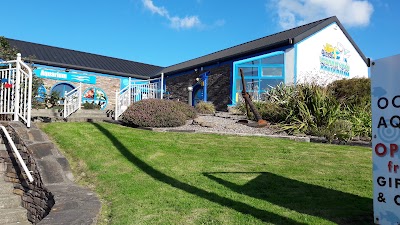Photos of Dingle Oceanworld Aquarium