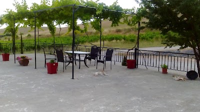 Photos of "Vegoritis Winery"