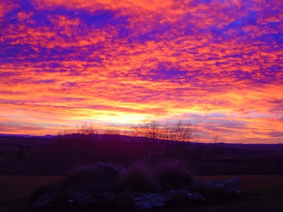 Photos of Hokonui Bed & Breakfast