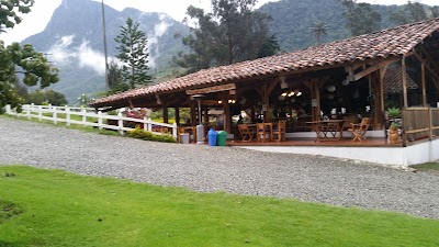 Photos of Cocora Valley