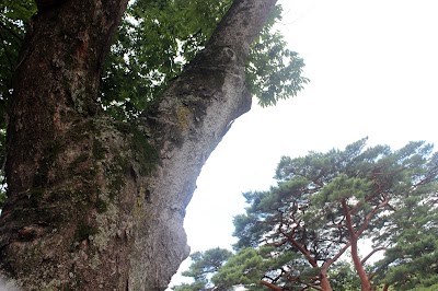 Photos of Jecheon City Hall