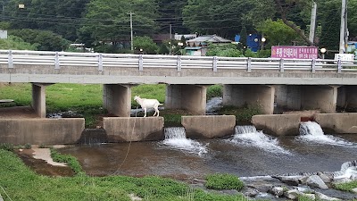 Photos of 용인로뎀파크