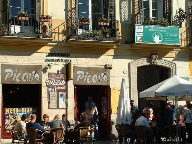 Instituto P. Picasso