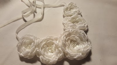 Photos of Tilzes turgus