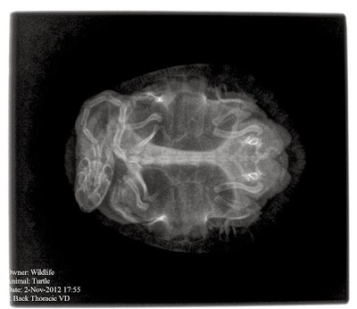 Photos of Maryborough Veterinary Practice