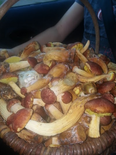 Photos of IKI - Naujalis