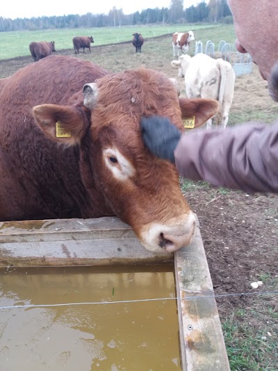 Photos of Eurasia Farm.Lapsinas