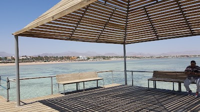 Photos of Easy Divers Sharm