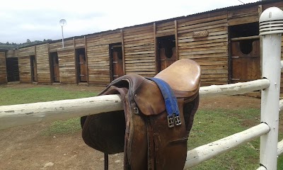 Photos of Cathkin Equestrian Centre & SA Boerperd Stud