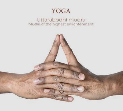 Photos of Namaste Yoga Studio