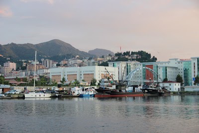 Photos of Rize Governor