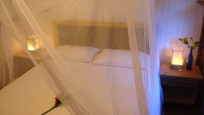 Photos of El Abrazo del Arbol - Farm Eco Lodge