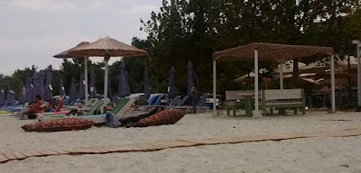 Photos of Sparos Meze