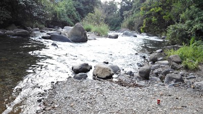 Photos of Los Quetzales National Park