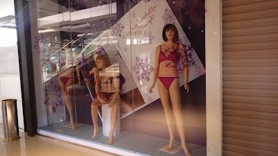 Photos of Triumph