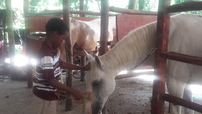 Photos of Caribe Horse Riding Club