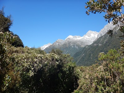 Photos of Welcome Flat Hut