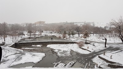 Photos of Vakil Abad Garden