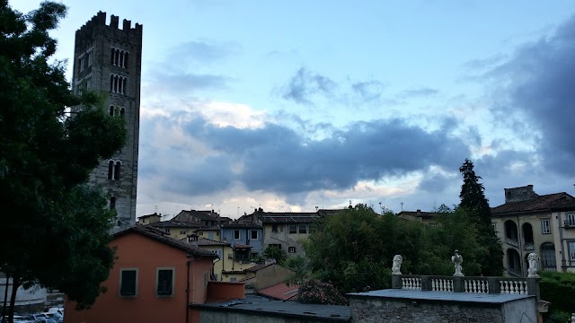 Real Collegio