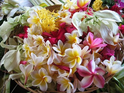 Photos of Puri Dajuma, Beach Eco-Resort Spa, West Bali