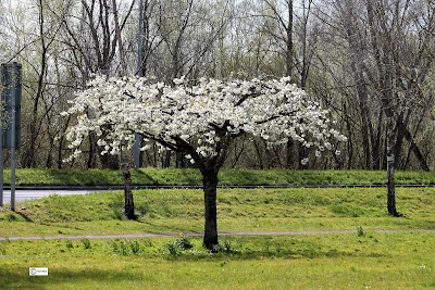 Photos of Ted Russell Park