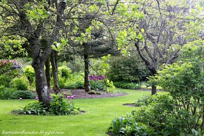 Photos of Mrs. Pedersen's garden