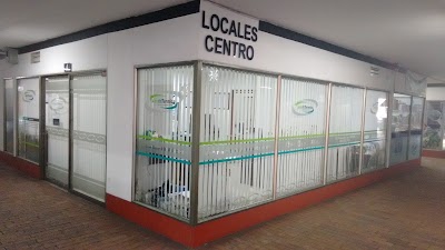 general-contractor