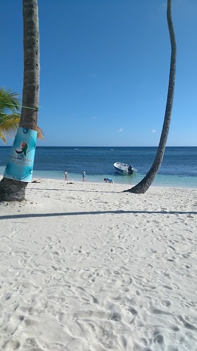 Photos of Tropical Paradise Excursions