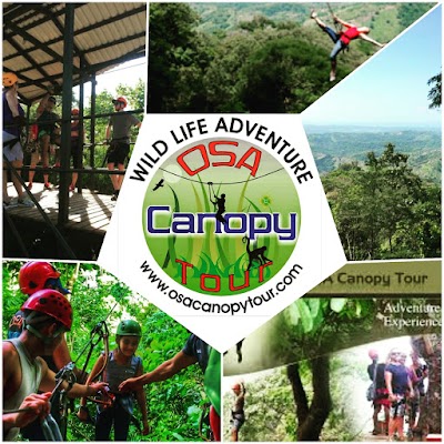 Photos of Osa Canopy Tour