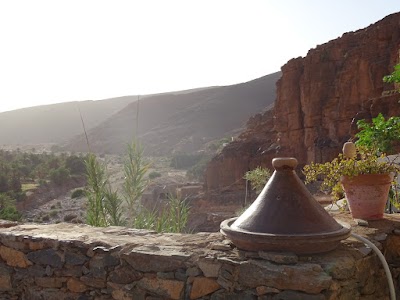 Photos of Tigmi bulbul