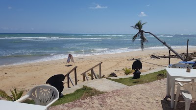 Photos of Tropical Treasure