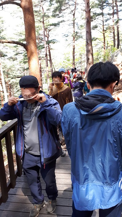 Photos of 대관령 치유의숲