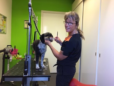 Photos of Dierenkliniek Steenwijk