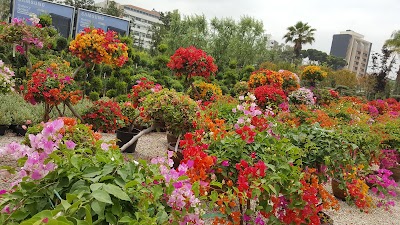 Photos of Mar Antonios Park