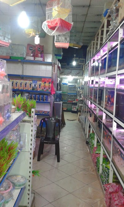 Photos of Waterfall Aquatics