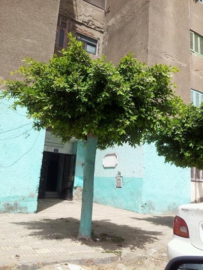 Photos of Tarh El Bahr