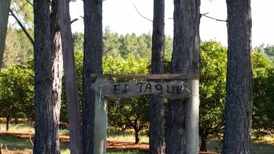 lodging
